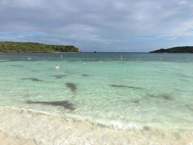 08A65DFC-553A-4898-82A9-CBCC39E15E1B